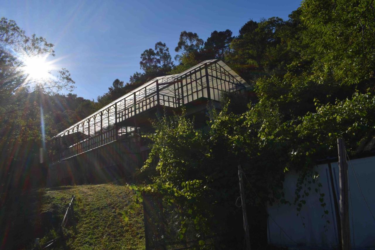 Drop-Inn Nature, Relax And Hike Ponte da Barca Buitenkant foto